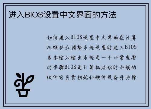 进入BIOS设置中文界面的方法